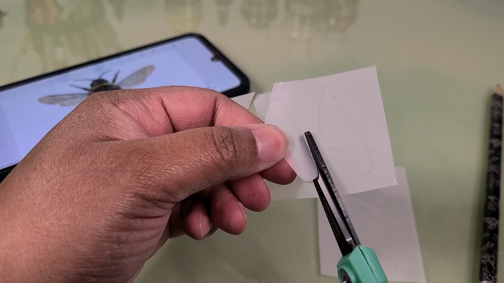 Cutting Vellum