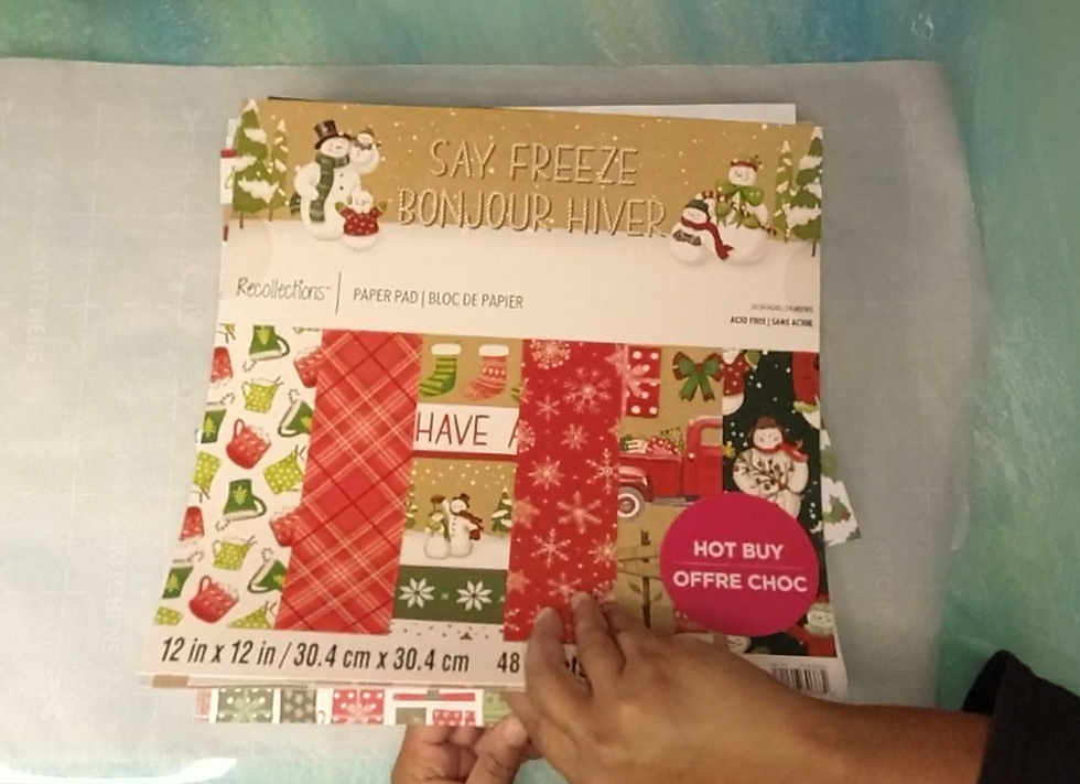 "Say Freeze" Paper Pad