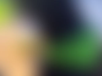 Dear Diary: A Few Rough Days for a Senior Dog