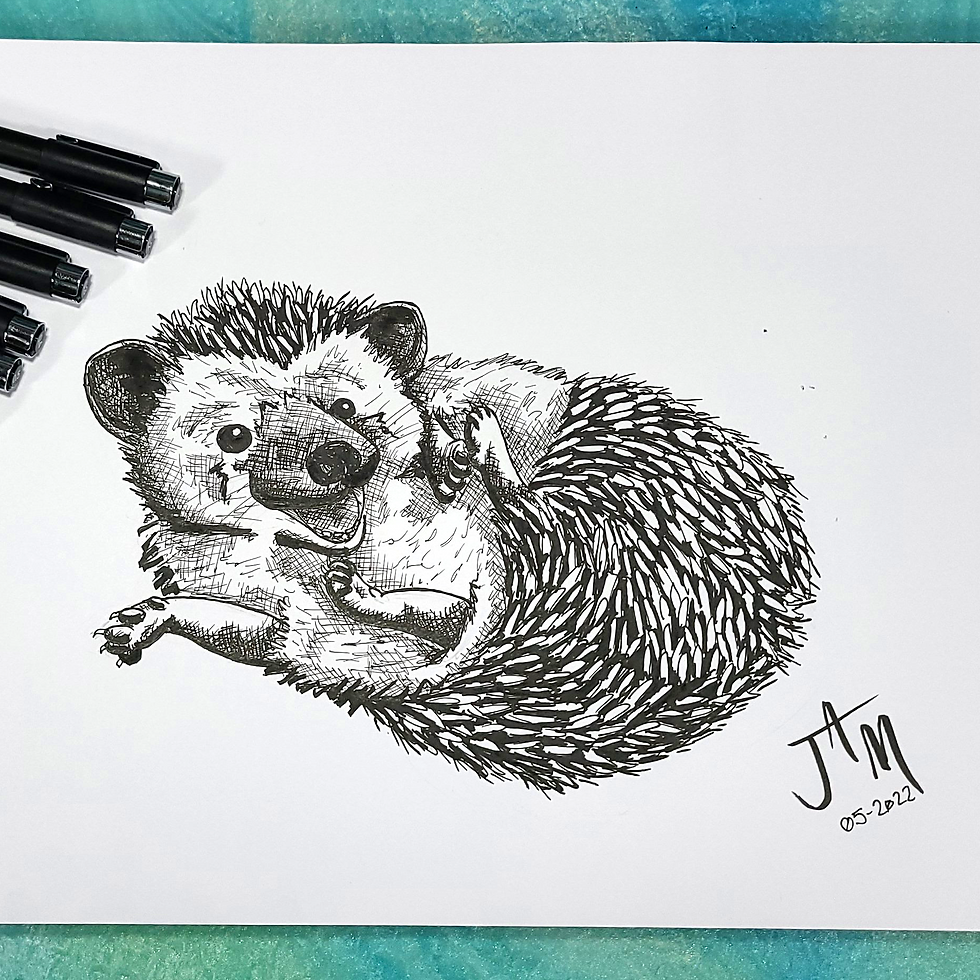 "Happy Hedgehog" Ink Drawing by JAM