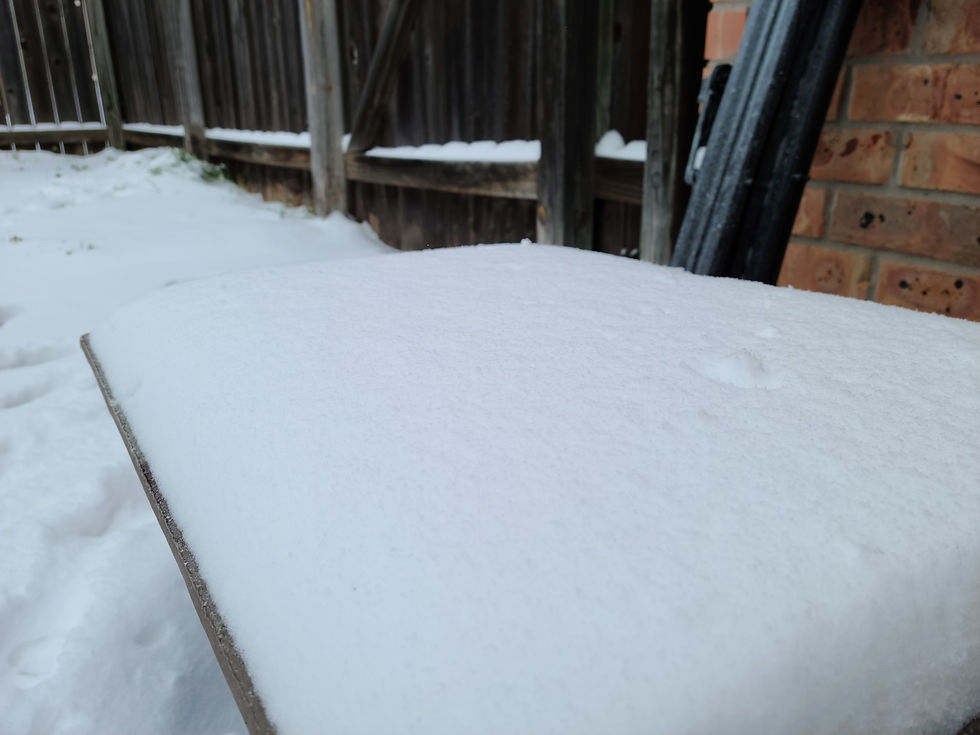 Snow Covered Board