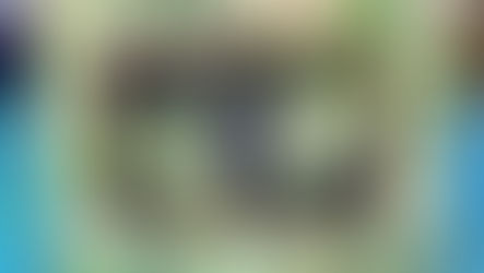 Botanical Garden Wood Frame