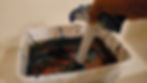 Hammer Dipped Into Paint and Water