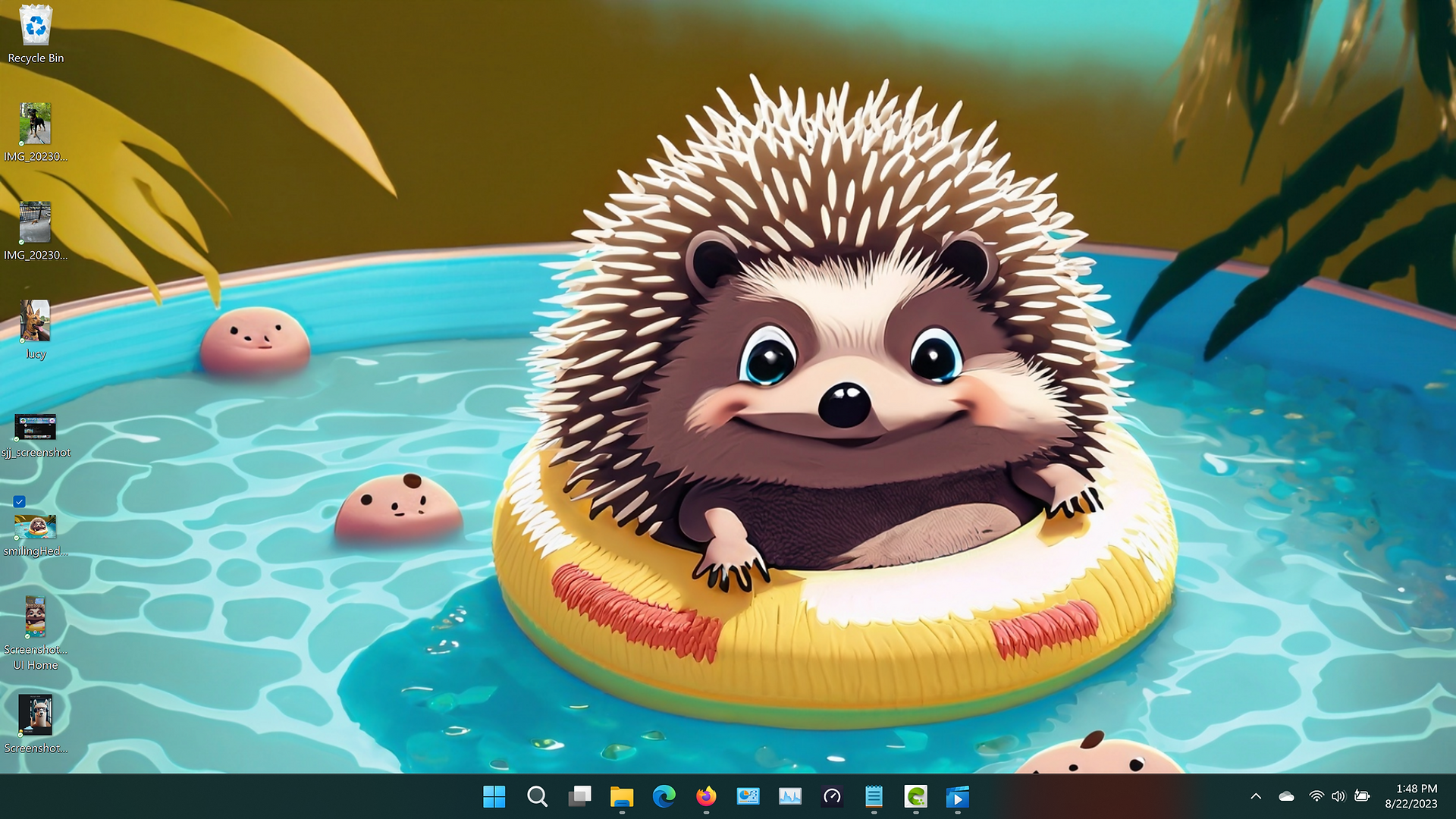 Desktop Hedgehog Wallpaper