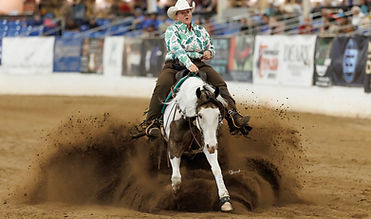 SHR Sotally Tober Flo