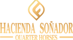 cropped-LOGO-HACIENDA.png