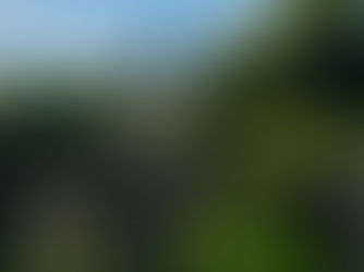 Tokyo Imperial Palace - Japan