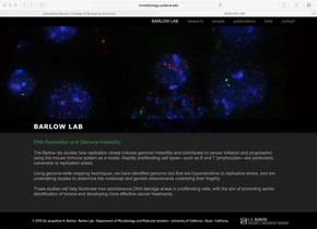 barlowlab-07.jpg
