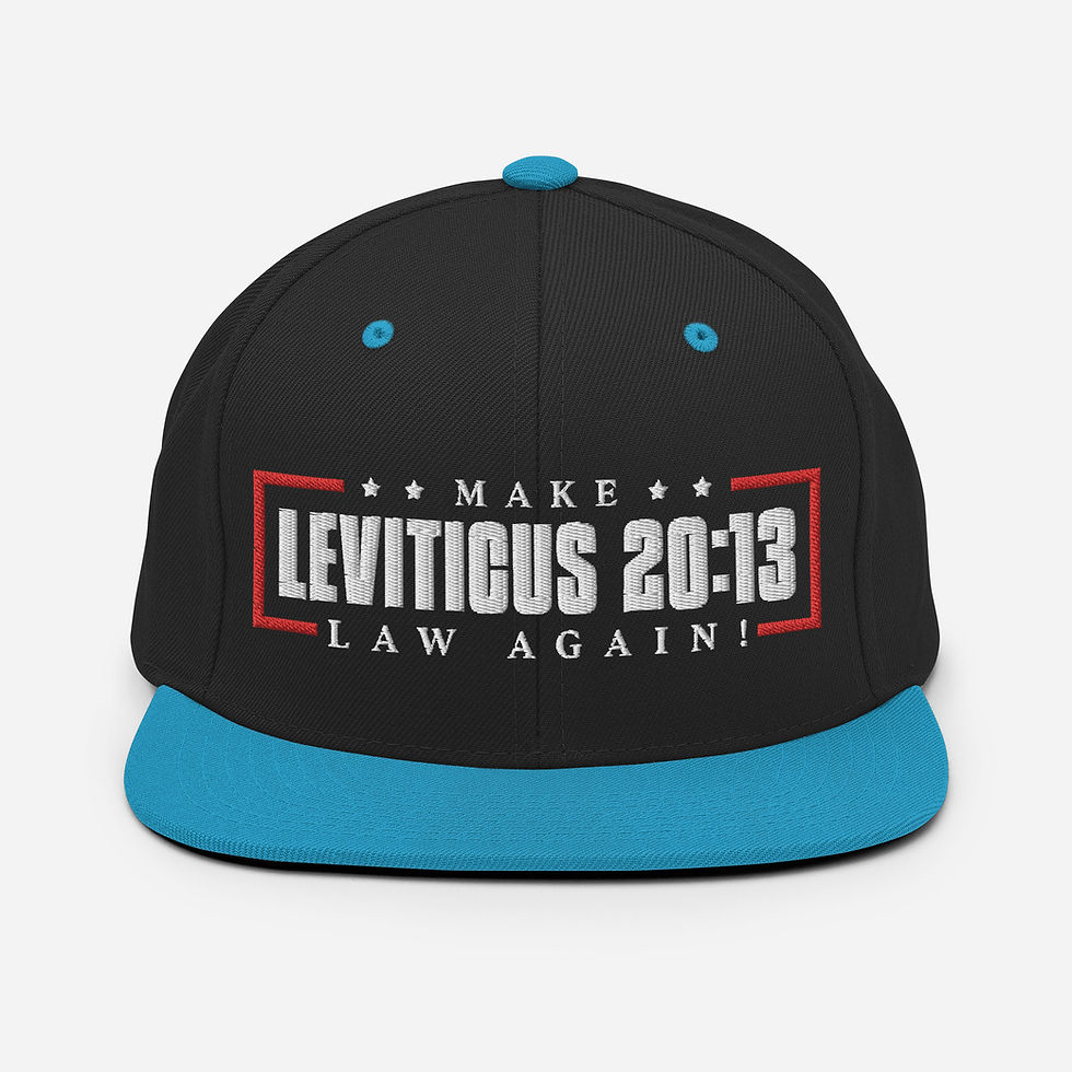 Thumbnail: Make LevLaw Snapback Hat