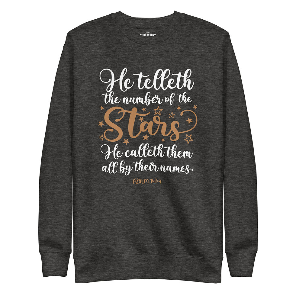 Ladies Psalm 147 Premium Sweatshirt