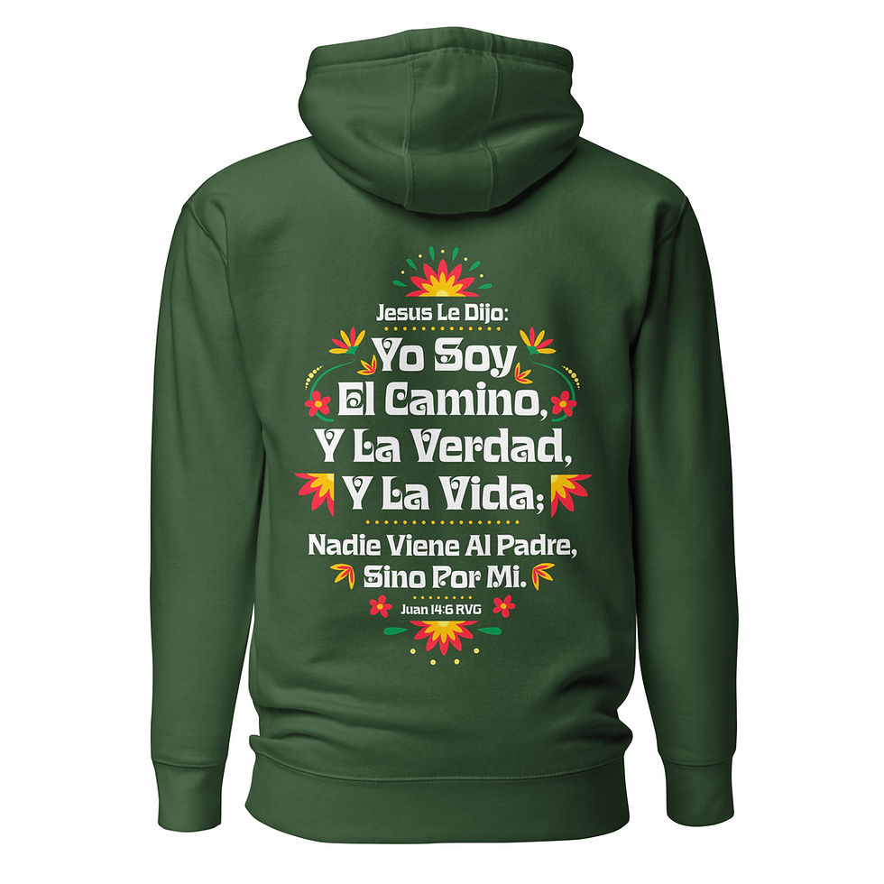 Thumbnail: Juan 14:6 Unisex Hoodie