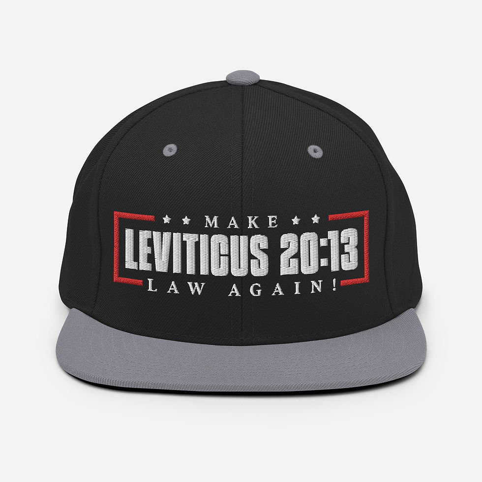 Thumbnail: Make LevLaw Snapback Hat
