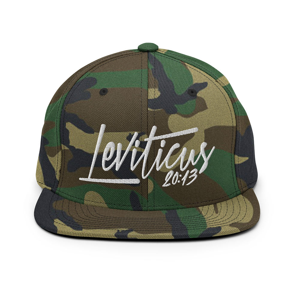 Thumbnail: Lev. Twenty:Thirteen Snapback Hat