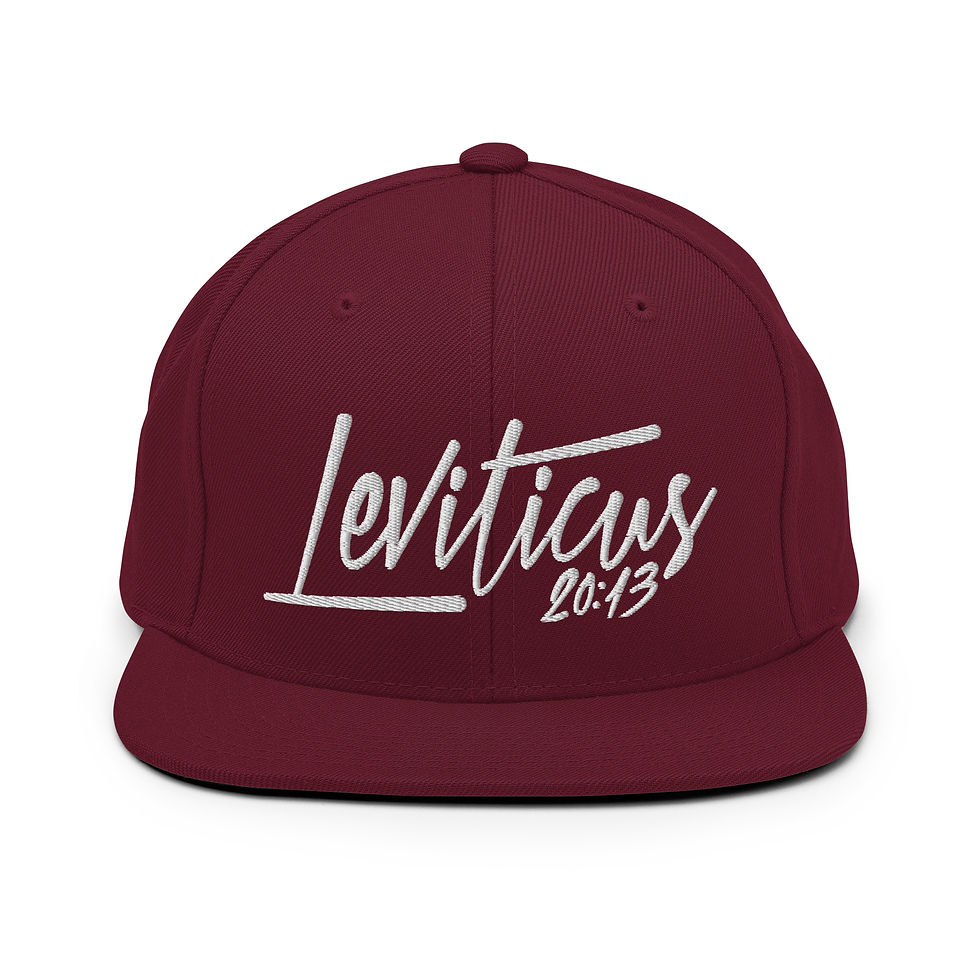Thumbnail: Lev. Twenty:Thirteen Snapback Hat