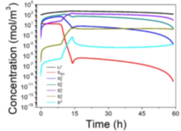 Lithium%20sulfur%20simulation_edited.jpg