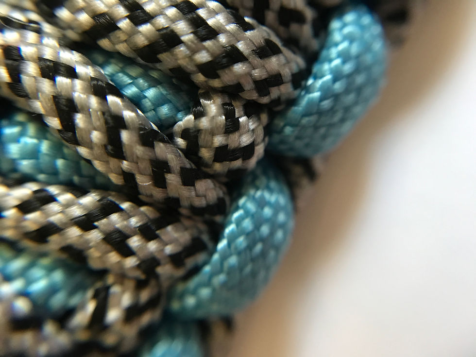 Thumbnail: NELLY BEAN COLLAR