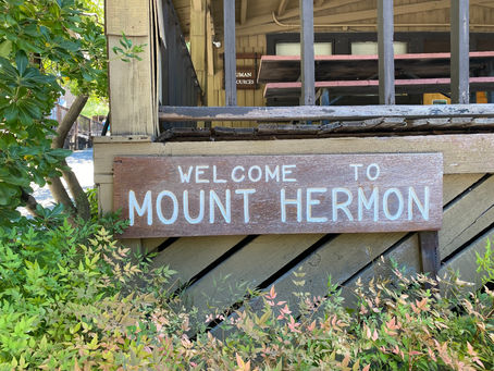 The Power of Place and Hospitality