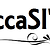 ccaSI INC.png