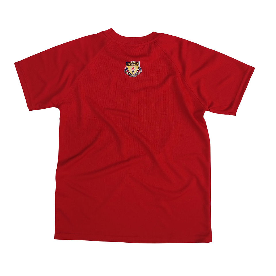 TeeHause: GMS(P) Raglan Sleeves Tee