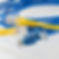 Circles (12).png