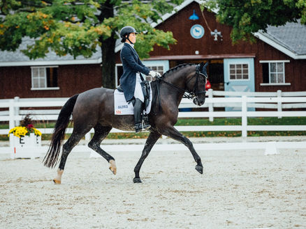 Devon CDI