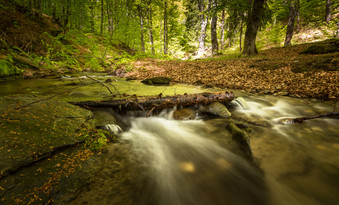 Cossyimages Waterfall (10).jpeg