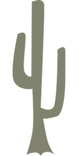 cactus-575559__340.png