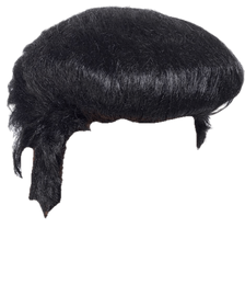 Wig (67).png