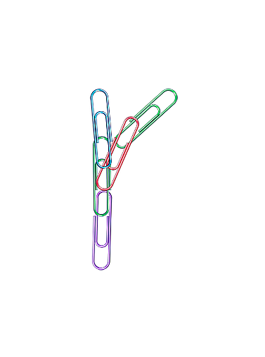 Letter R PNG
