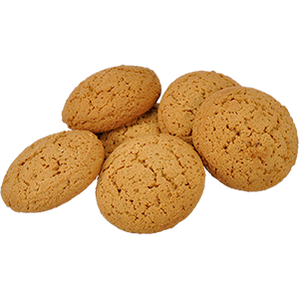 Biscuit (81).png