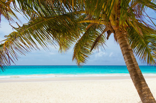 Cossyimages Beach (5).jpeg