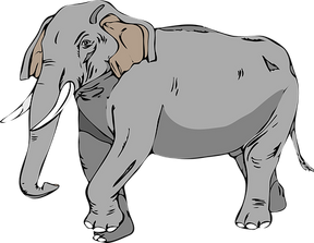 elephant-24732__340.png
