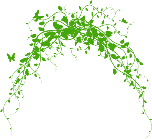 Vines PNG images