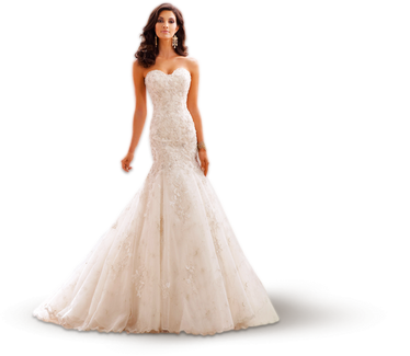 Bride PNGs
