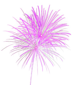 2cd43b_23a2b77c91e84d71b3f9ee4872d2ff50~mv2.png