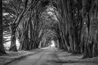 Cossyimages-black&white- (10).jpeg