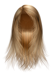 Wig (22).png