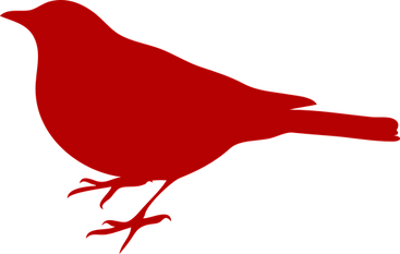 black-bird-305707__340.png