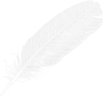 Feather PNG images