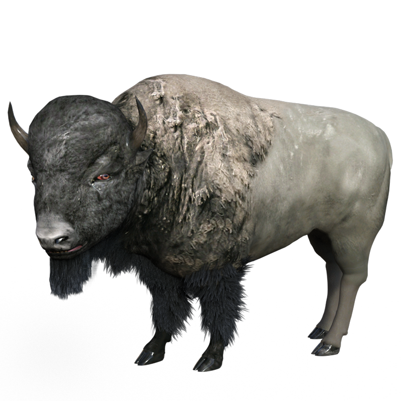 Картинка зубр на прозрачном фоне