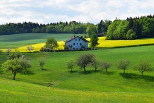 Cossyimages House (67).jpeg
