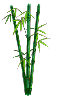 Bamboo (20).png