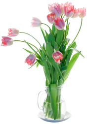 Lilies (19).png