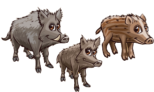 Boar (49).png