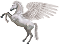 Pegasus PNG images