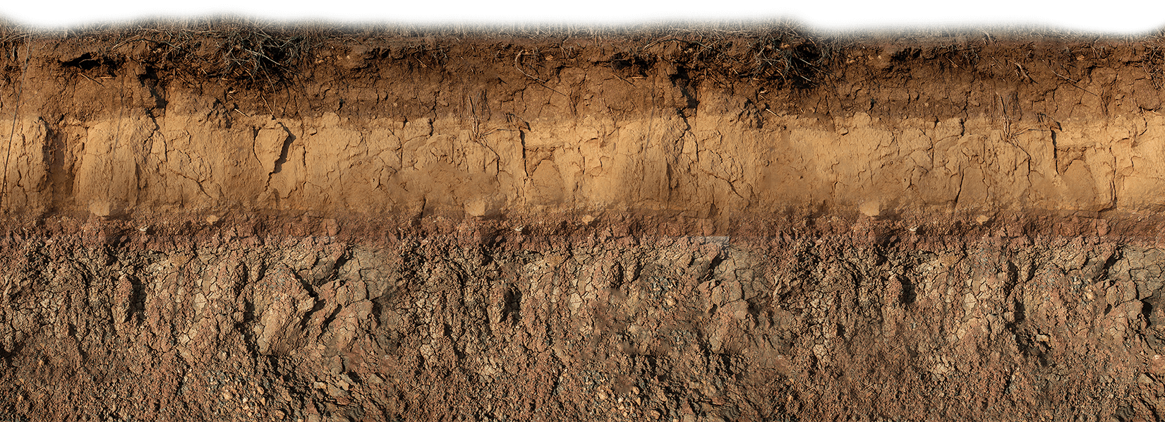 Как выглядит грунт фото Как выглядит грунт фото