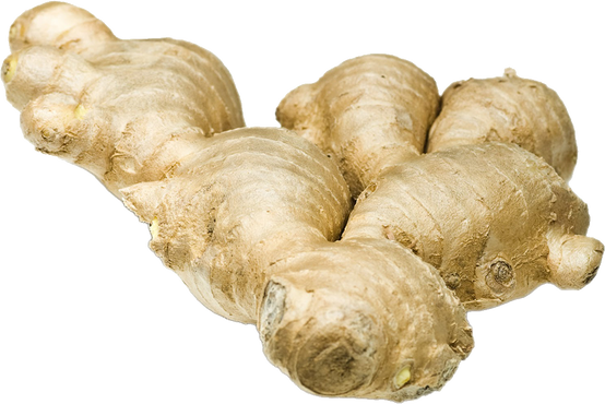 Ginger PNGs