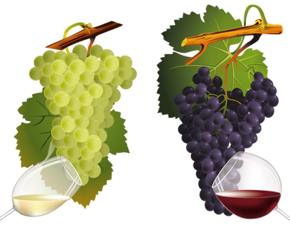 Grape PNG