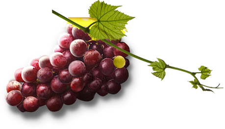 Grape PNG