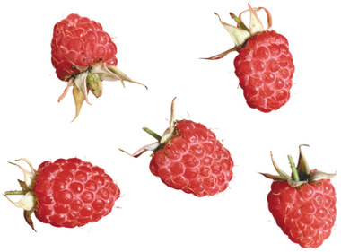 Raspberry PNG